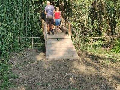 Haus Xenia natrlich holzbrcke naturverbunden